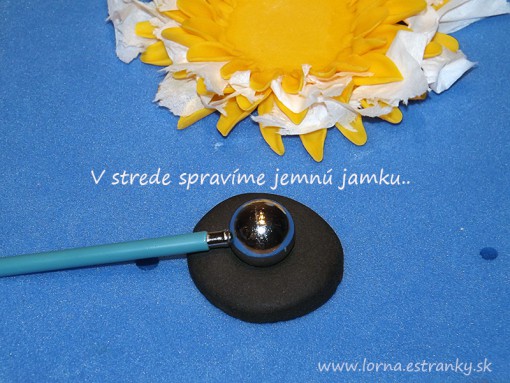 sln8.jpg